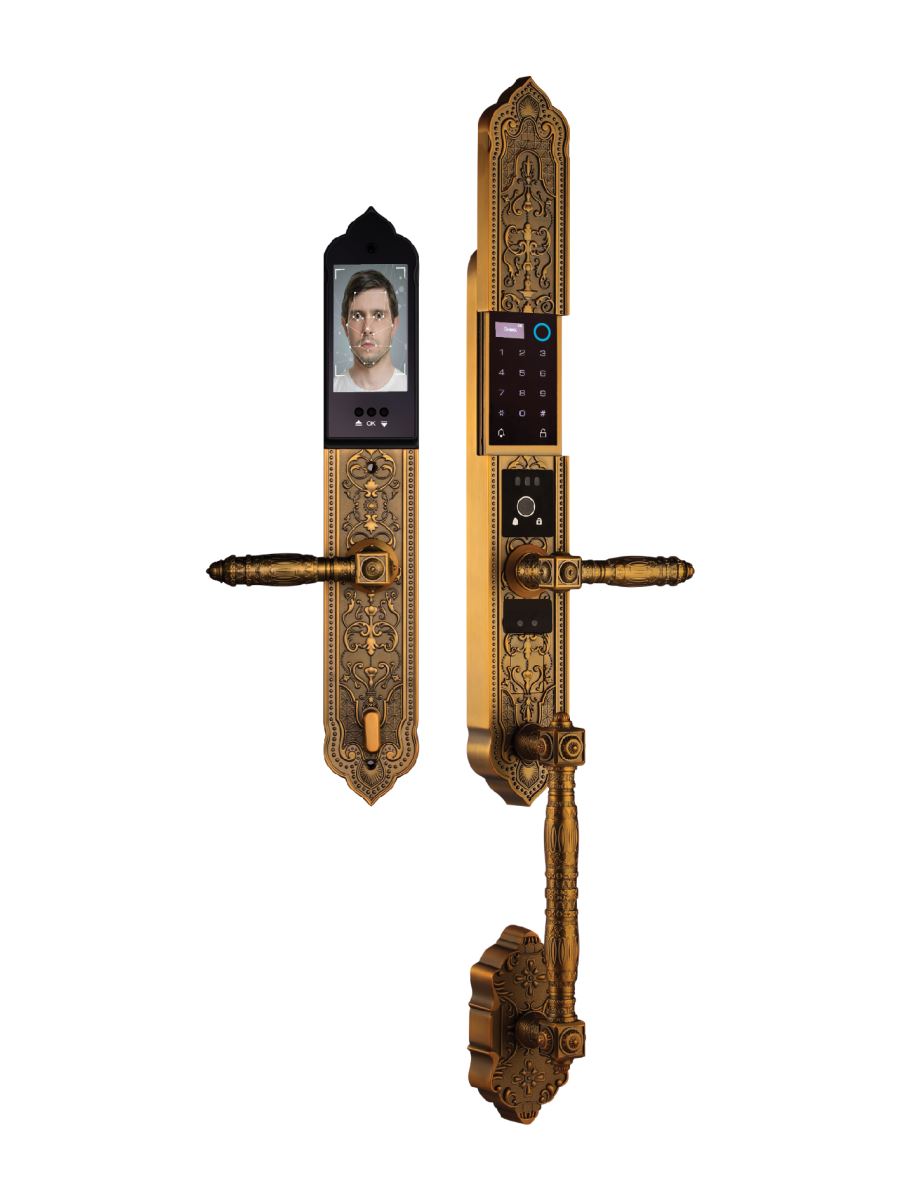 EL988 GB Brass ảnh 2