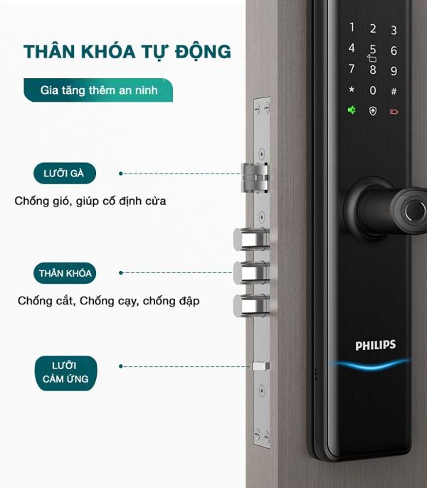 7300 ảnh 5