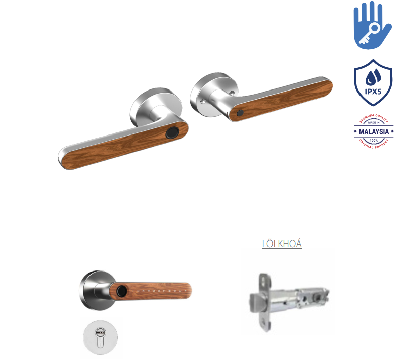 Khóa vân tay Avolock AT-105-G App wifi