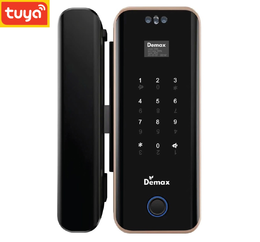 Khóa cửa kính Demax EL900G AC Face ID, App wifi