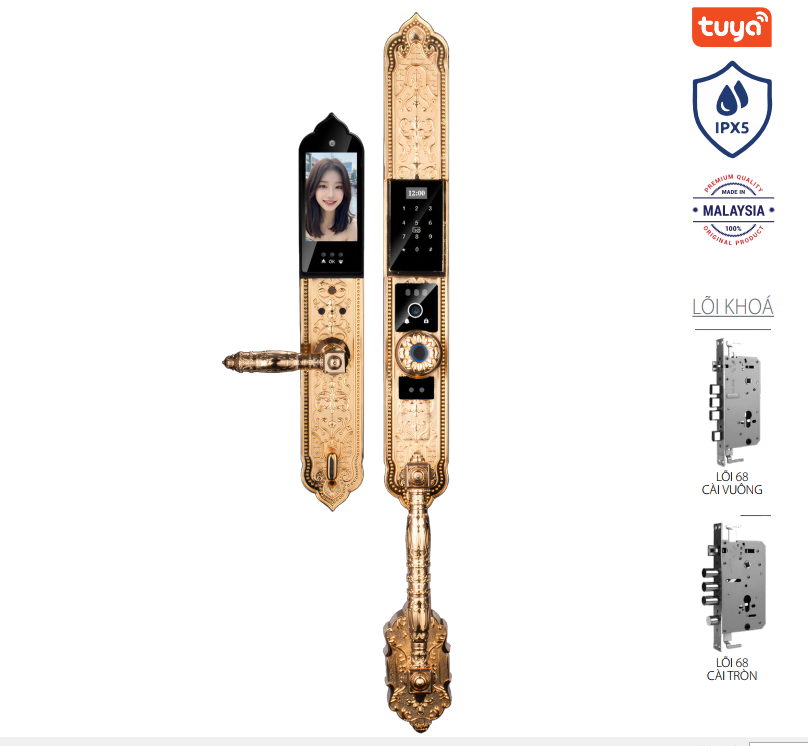 Khóa tân cổ điển Avolock AC-997F-G Face ID, App wifi