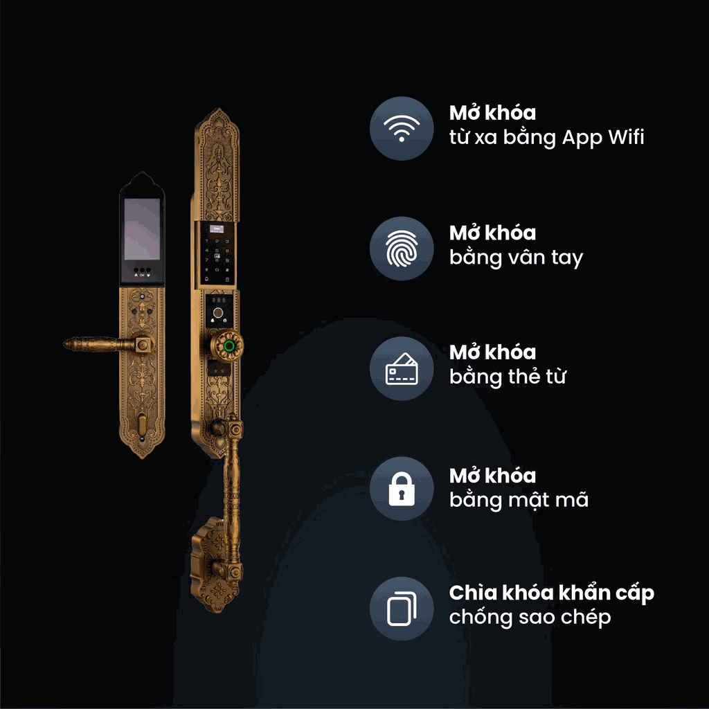 Chi tiết thiết kế Khóa tân cổ điển Faster FS009GB BRASS Chi tiết thiết kế Khóa tân cổ điển Faster FS009GB BRASS