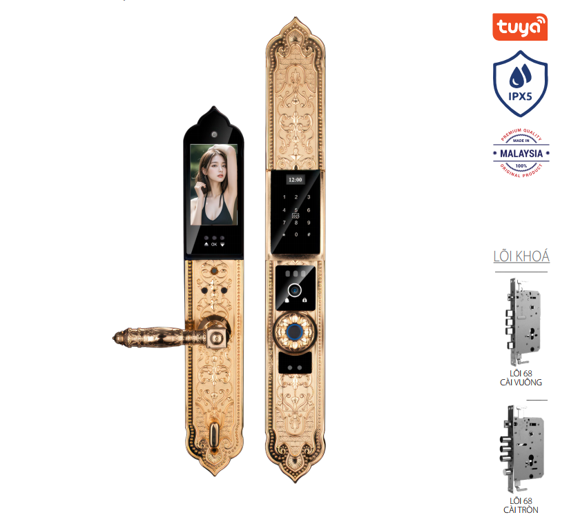 Khóa tân cổ điển Avolock AC-996F-G Face ID, App wifi