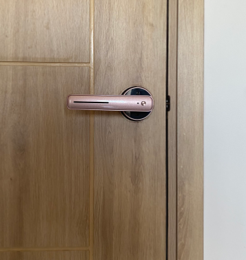 SL105 ảnh 2
