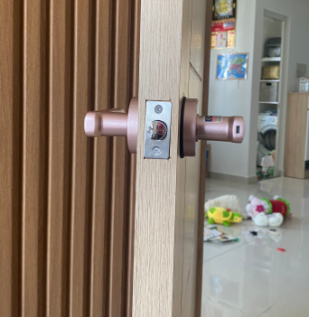 SL105 ảnh 3