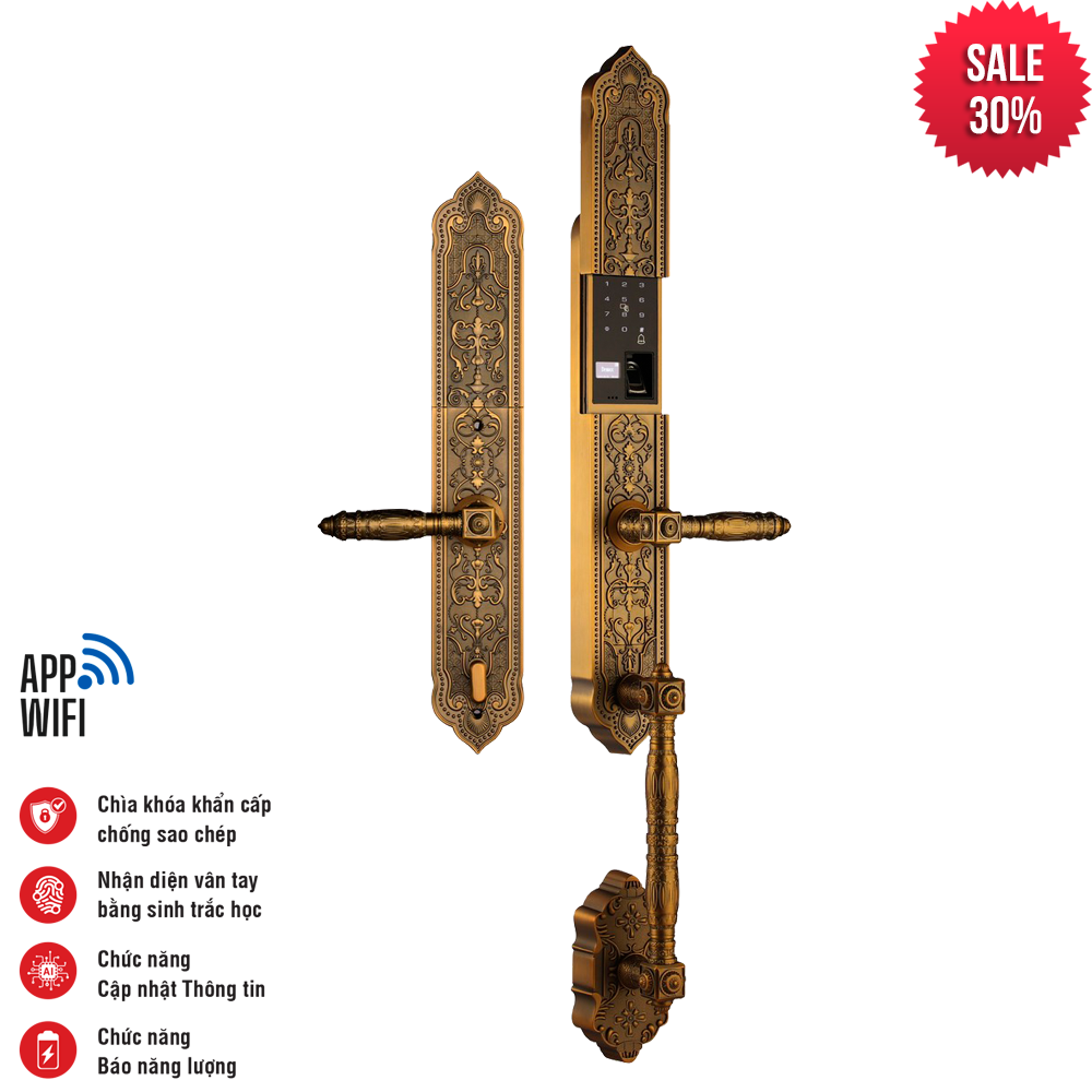 Khóa tân cổ điển Faster FS009FGB BRASS kết nối app
