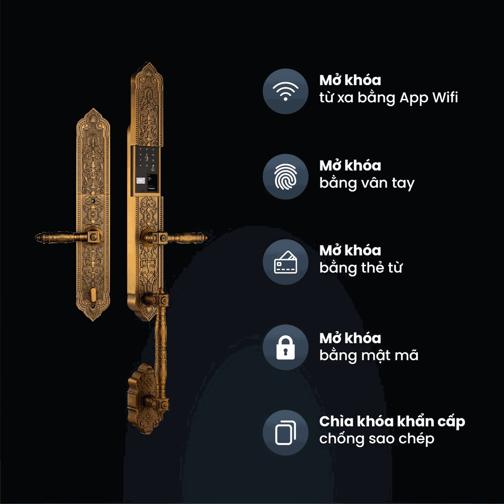 Chi tiết thiết kế Khóa tân cổ điển Faster FS009FGB BRASS Chi tiết thiết kế Khóa tân cổ điển Faster FS009FGB BRASS