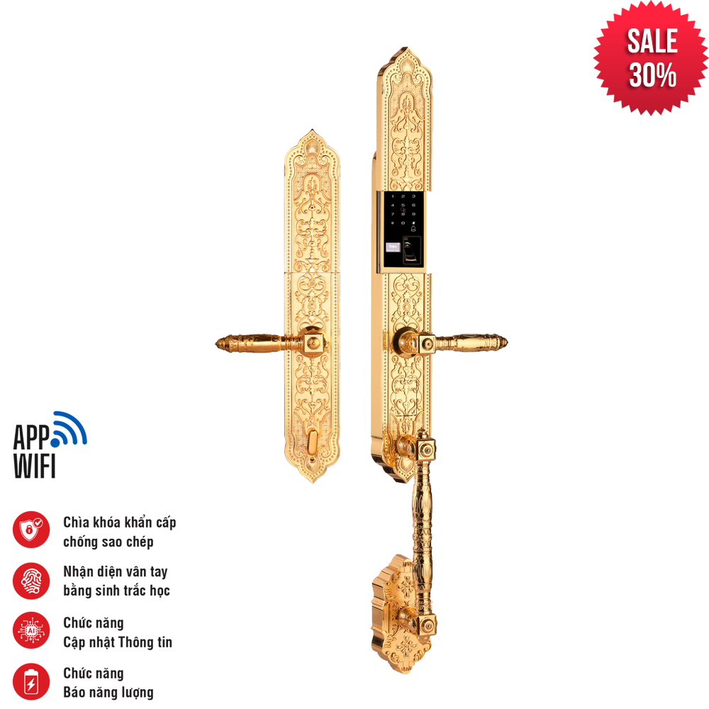 Khóa tân cổ điển Faster FS009F24K BRASS kết nối app