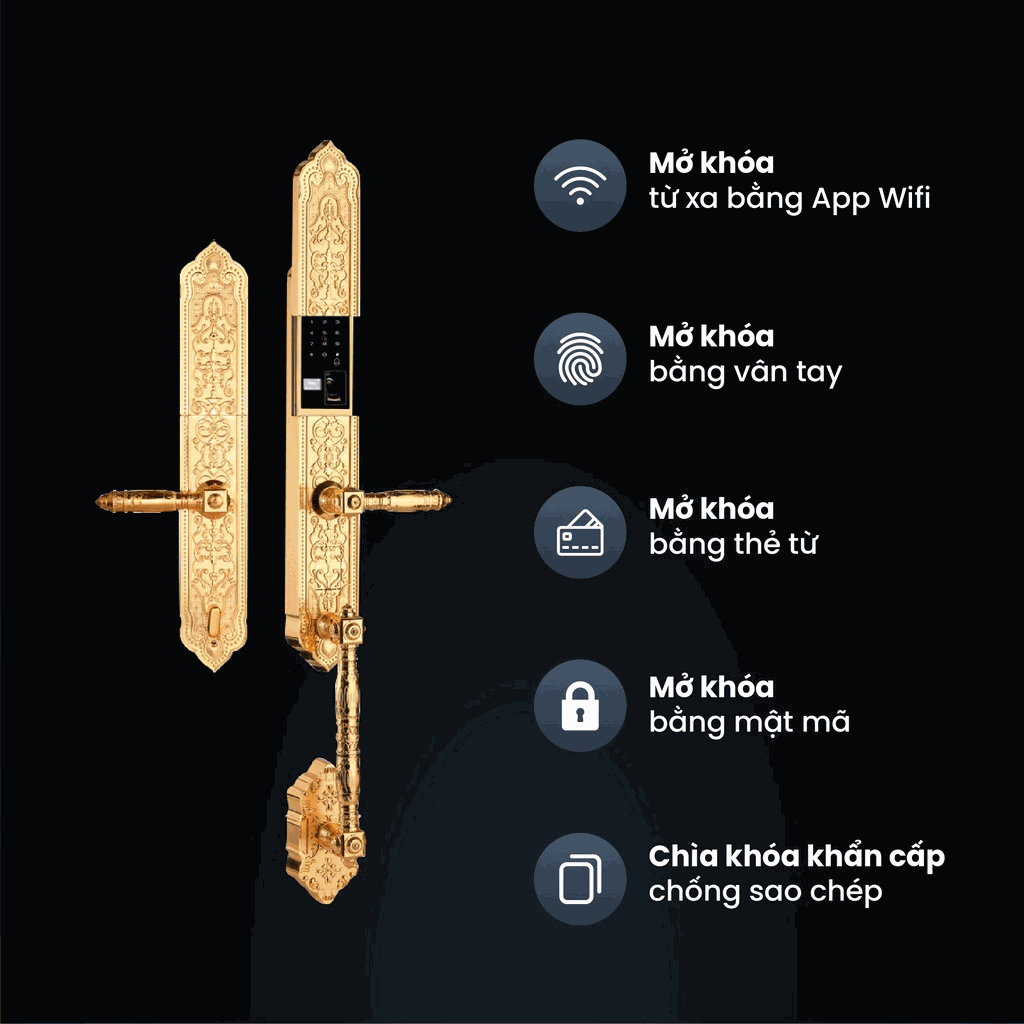 FS009F24K BRASS ảnh 3