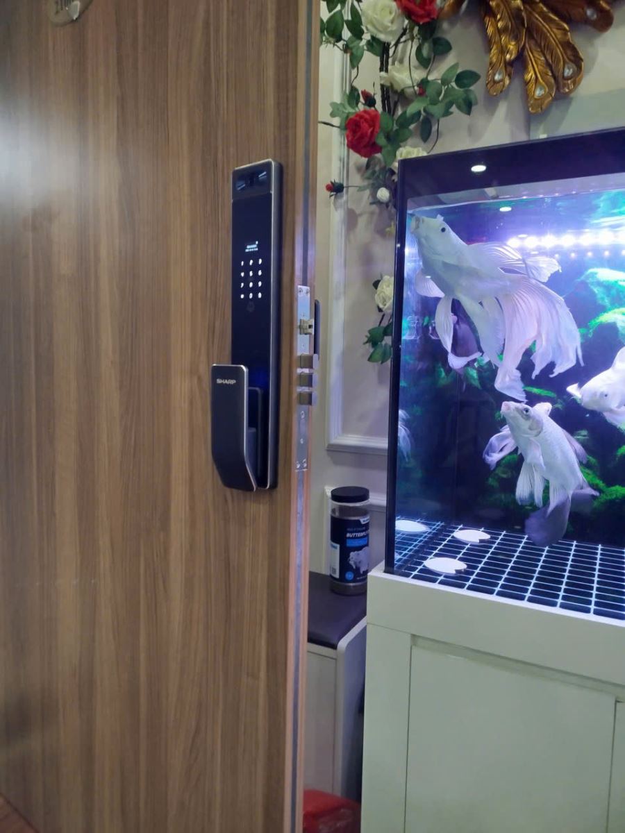 Hình ảnh thực tế Sharp S5-FV Hình ảnh thực tế Sharp S5-FV